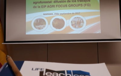LIFE LEACHLESS and the innovation in the agroforestry sector