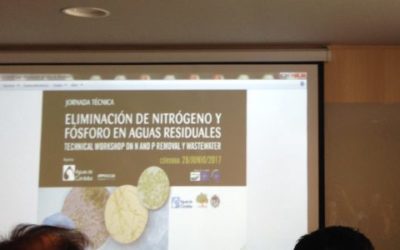Workshop on N and P removal in wastewater